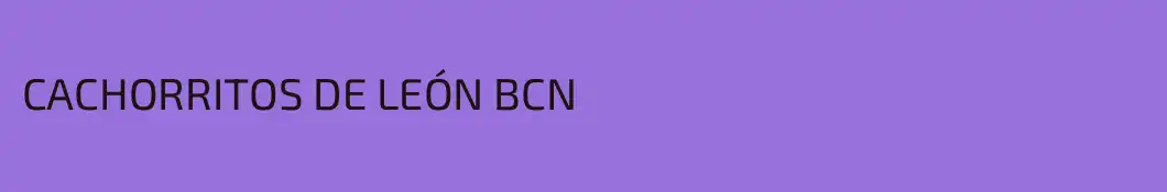 CACHORRITOS DE LEÓN BCN